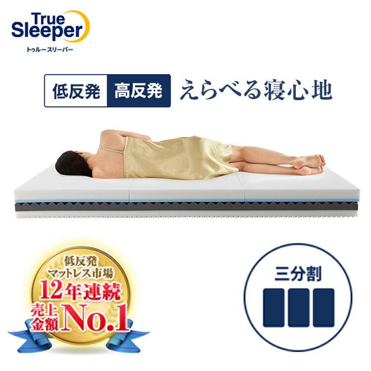 楽天市場】トゥルースリーパー セミダブルシングル セットの通販