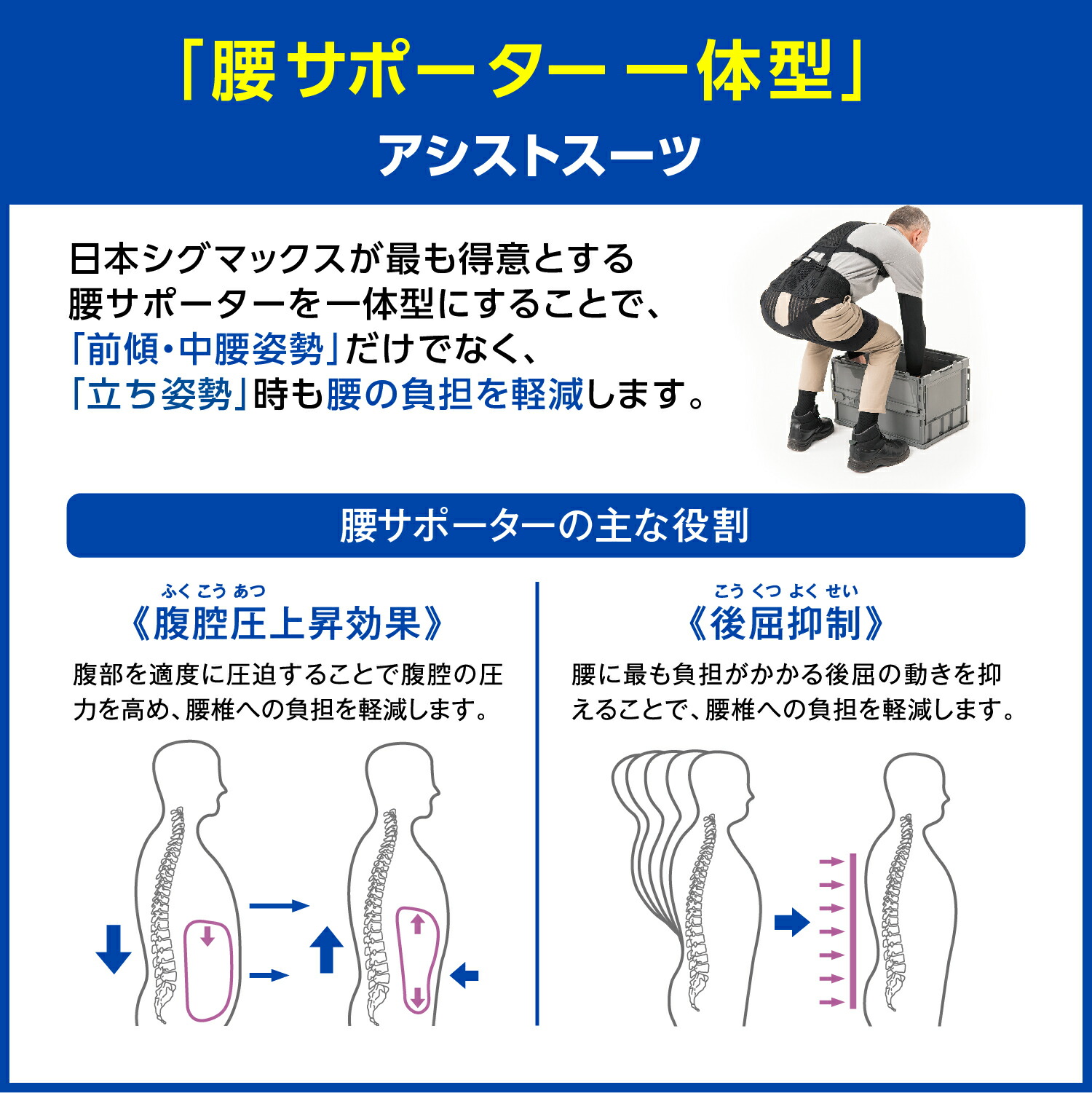 楽天市場】【15%OFF 医療メーカー・日本シグマックス公式】 アシスト