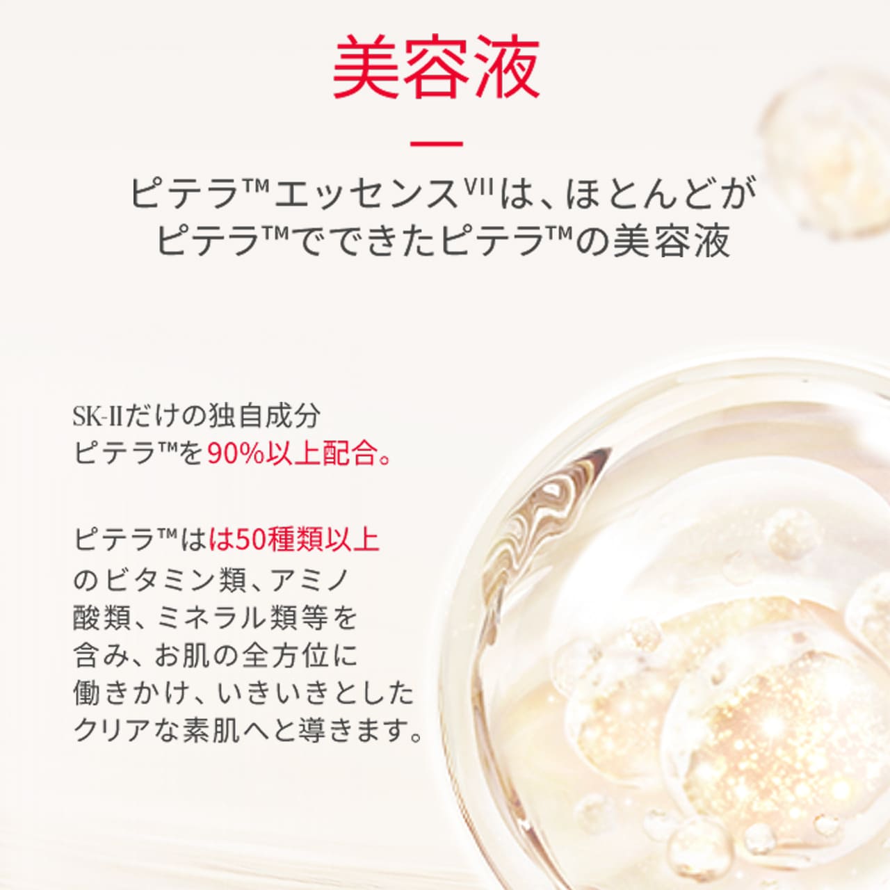 楽天市場】ピテラベストコレクション2025 ホリデーコレクション : SK