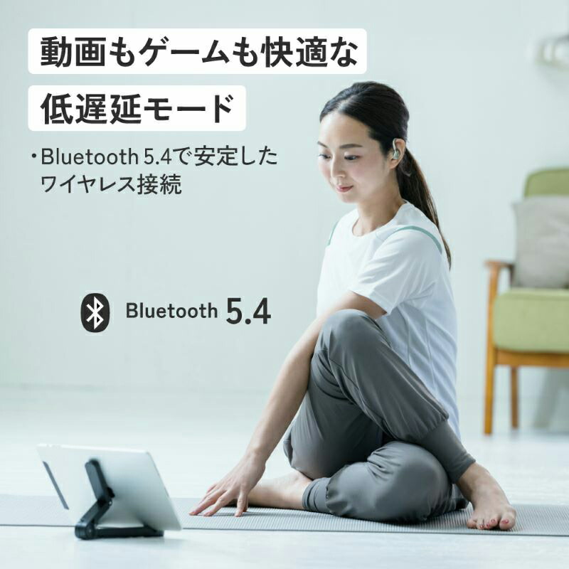 楽天市場】HA-EC77T-V JVCケンウッド JVC KENWOOD ビクター Victor