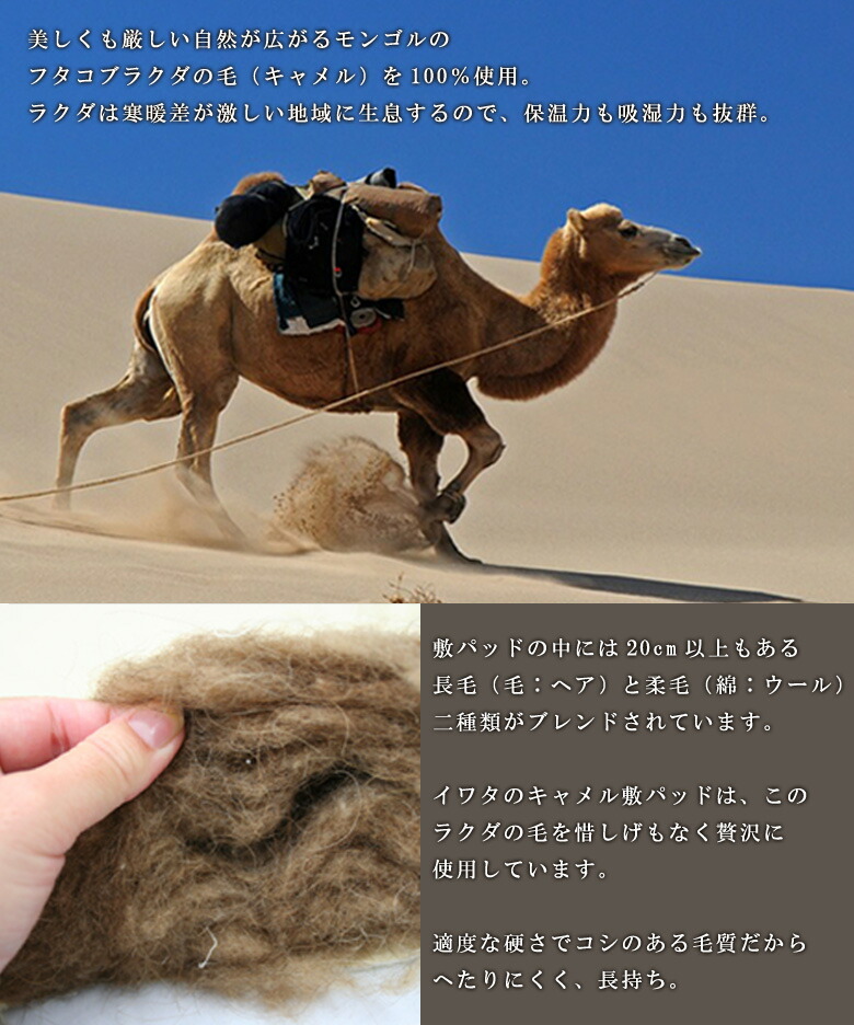 楽天市場】イワタ キャメル敷き布団 シングル 97×200cm (ヘビータイプ