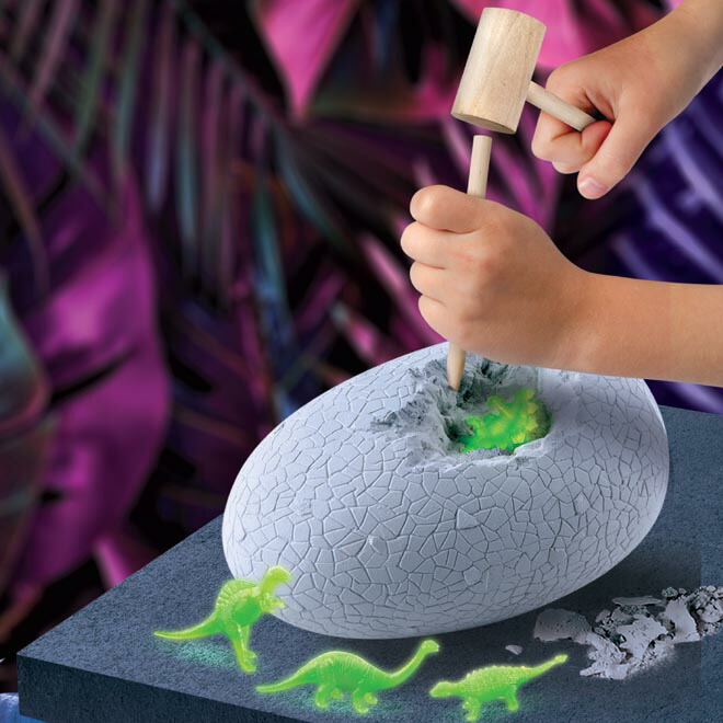 楽天市場】京商 知育玩具 《購入特典付》 《STEM教育》 Discovery