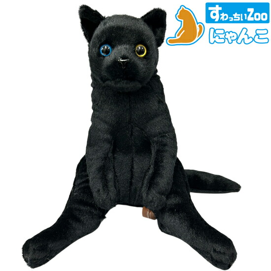 楽天市場】すわっちぃZoo にゃんこ オッドアイ 黒猫 猫のぬいぐるみ