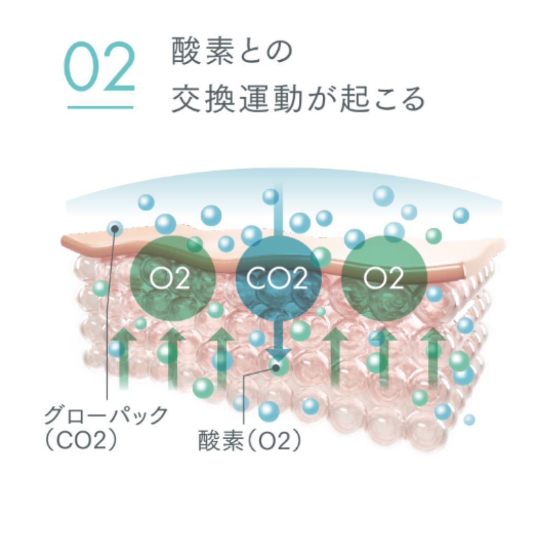 楽天市場】【エニシー公式店】エニシー グローパック ジャンパーニュ