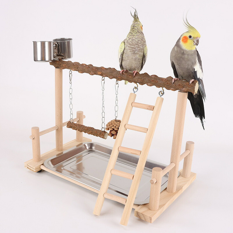楽天市場】 インコ 遊び場 バード アスレチック 玩具 スタンド 止まり