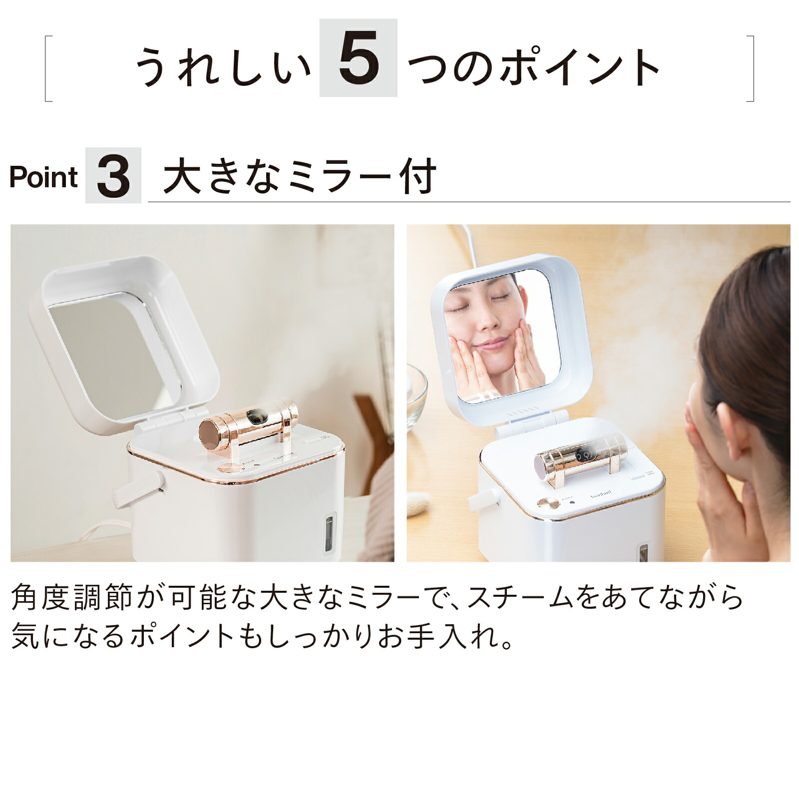 楽天市場】【スーパーSALE期間限定価格！】【公式】フェイススチーマー