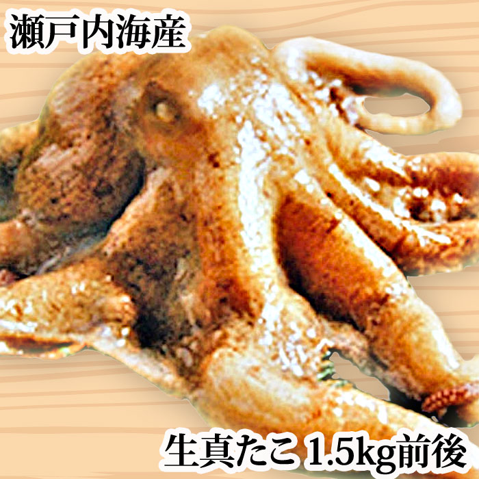 楽天市場】＼販売開始しました！／『生真たこ 1.5kg前後 広島県