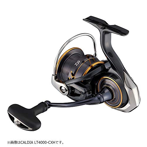 楽天市場】ダイワ(DAIWA) スピニング 21 カルディア LT4000S-C