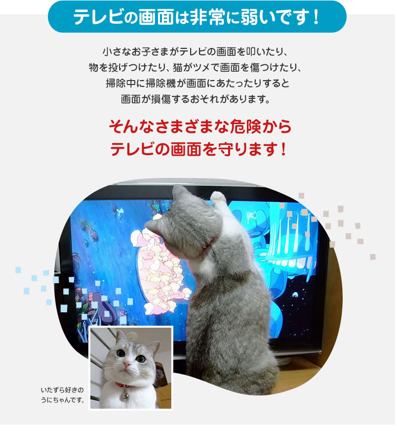 楽天市場】ブルーライトカット 液晶テレビ保護パネル 55インチ 55型