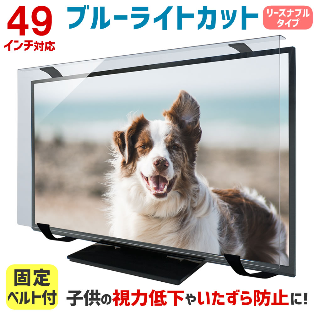 楽天市場】ブルーライトカット 液晶テレビ保護パネル 49インチ 49型
