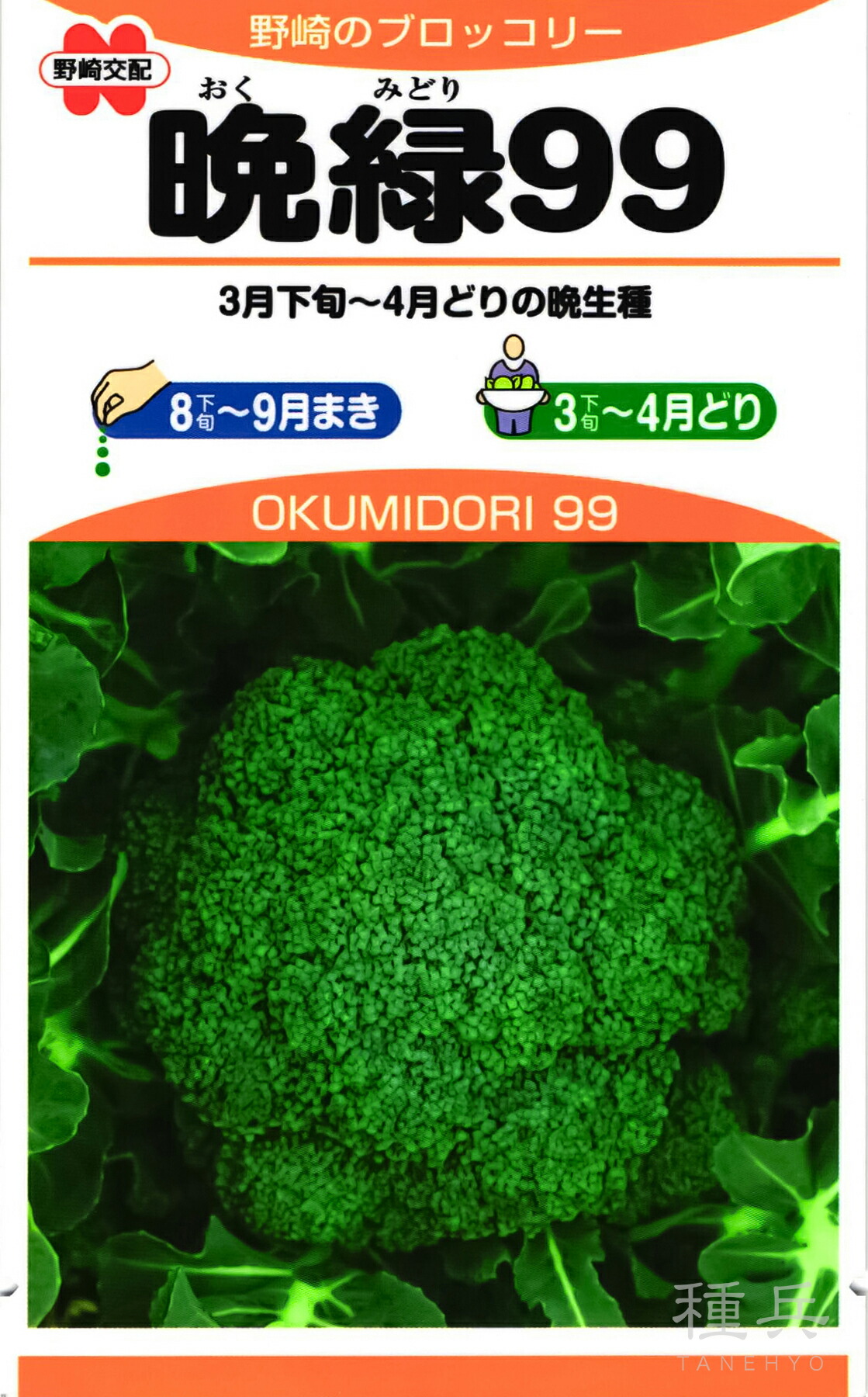 楽天市場】ブロッコリー 種 『晩緑99』 野崎採種場 : 種兵ネット