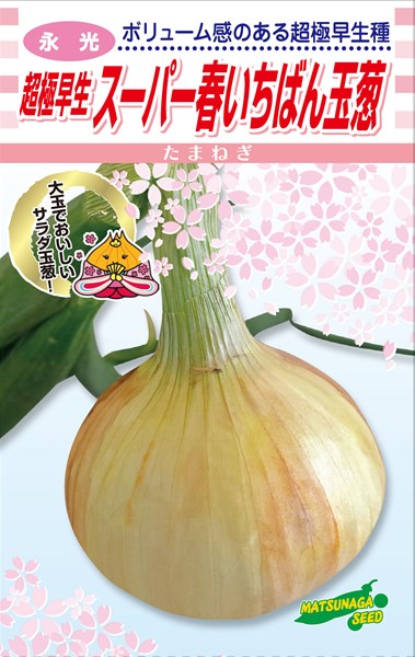 楽天市場】松永種苗 タマネギ 超極早生玉葱 スーパー春いちばん 小袋
