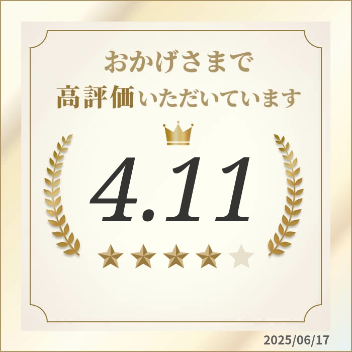 楽天市場】＼本日Point5倍／【システム手帳リフィル】Davinci ダ