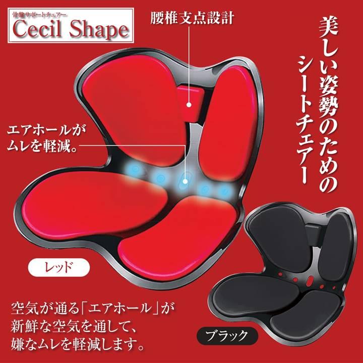 楽天市場】姿勢矯正 骨盤 サポートチェア 骨盤矯正 腰痛改善 猫背改善