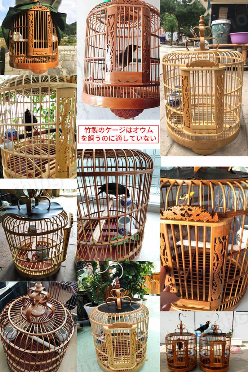 楽天市場】お買い物マラソン【P5倍】中国の無形文化遺産 ツグミ鳥かご