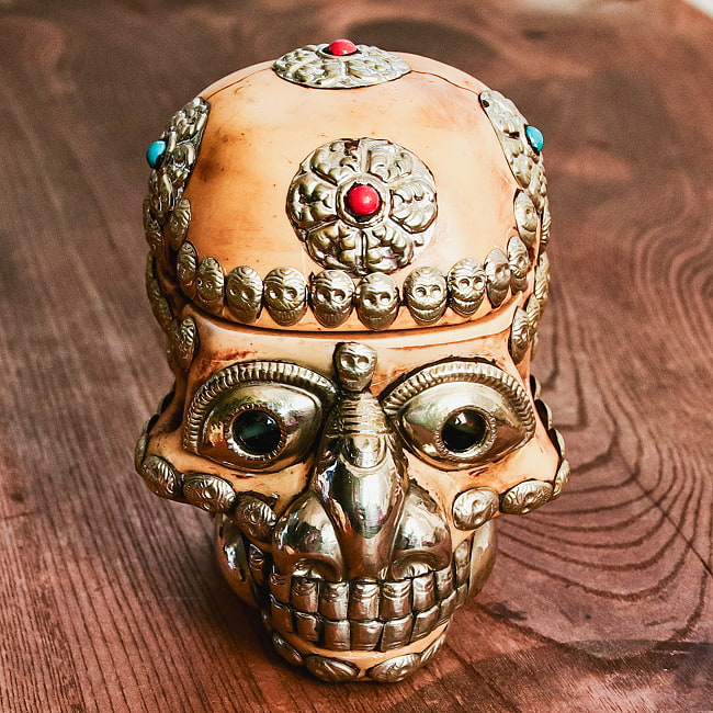 楽天市場】【送料無料】 頭蓋骨杯 カパラ 約14cm×11cm×13.5cm / 骸骨