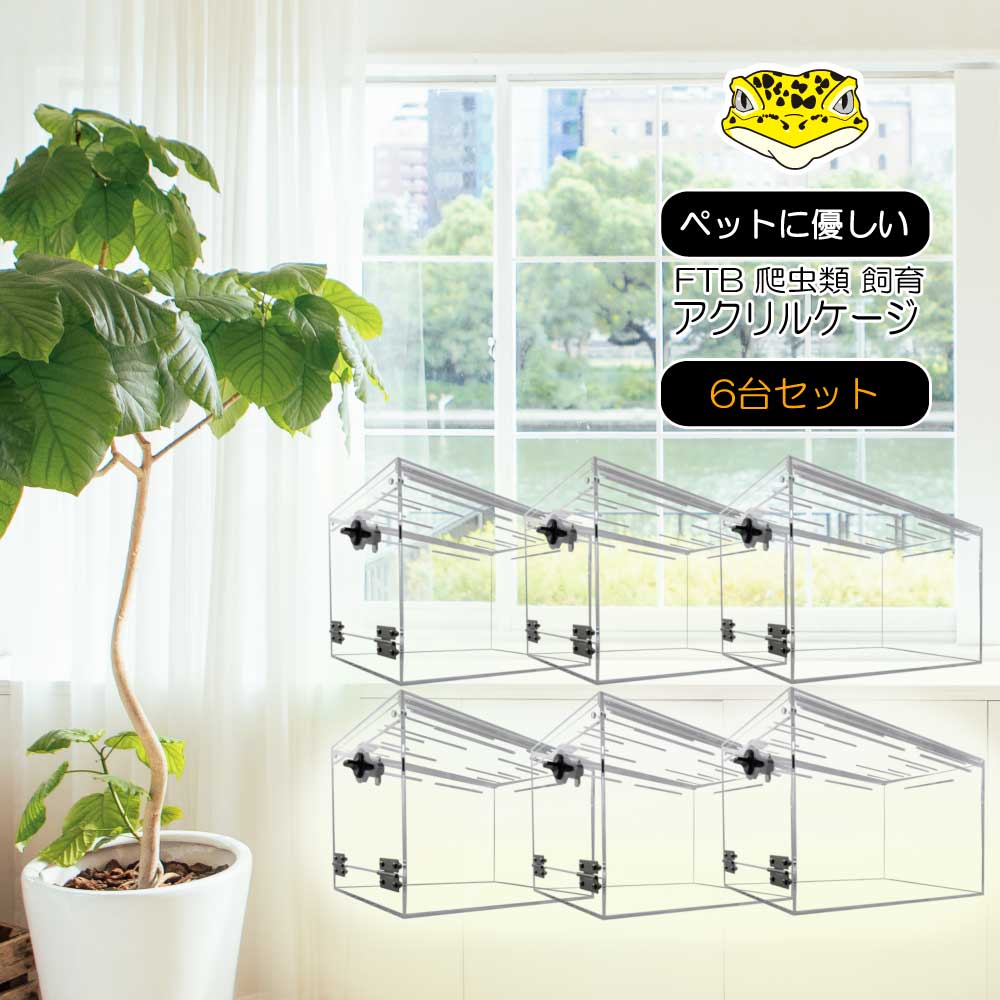 楽天市場】日本製 爬虫類アクリルケージ 6個セット！ ヒョウモン