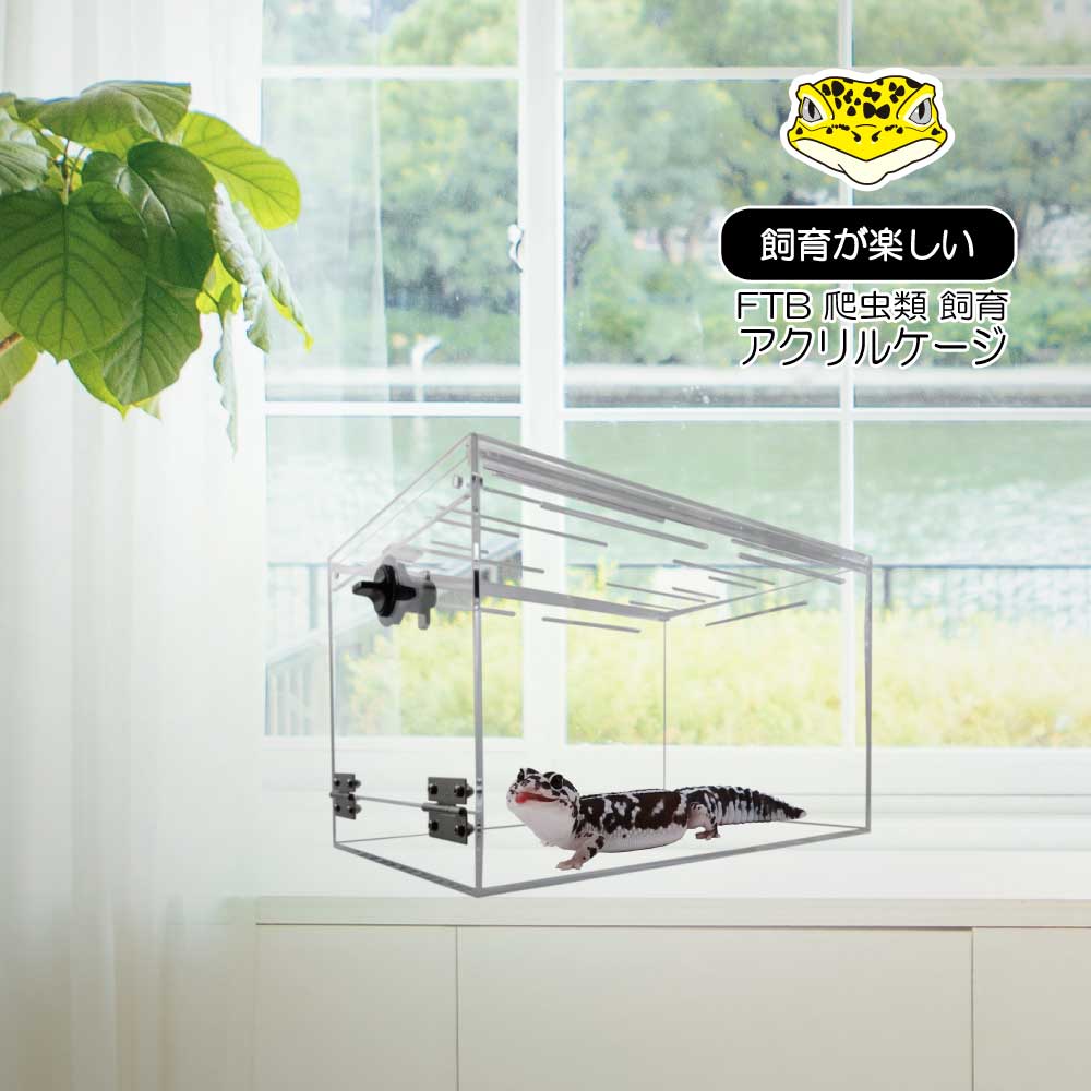 楽天市場】日本製 爬虫類アクリルケージ ヒョウモントカゲモドキ