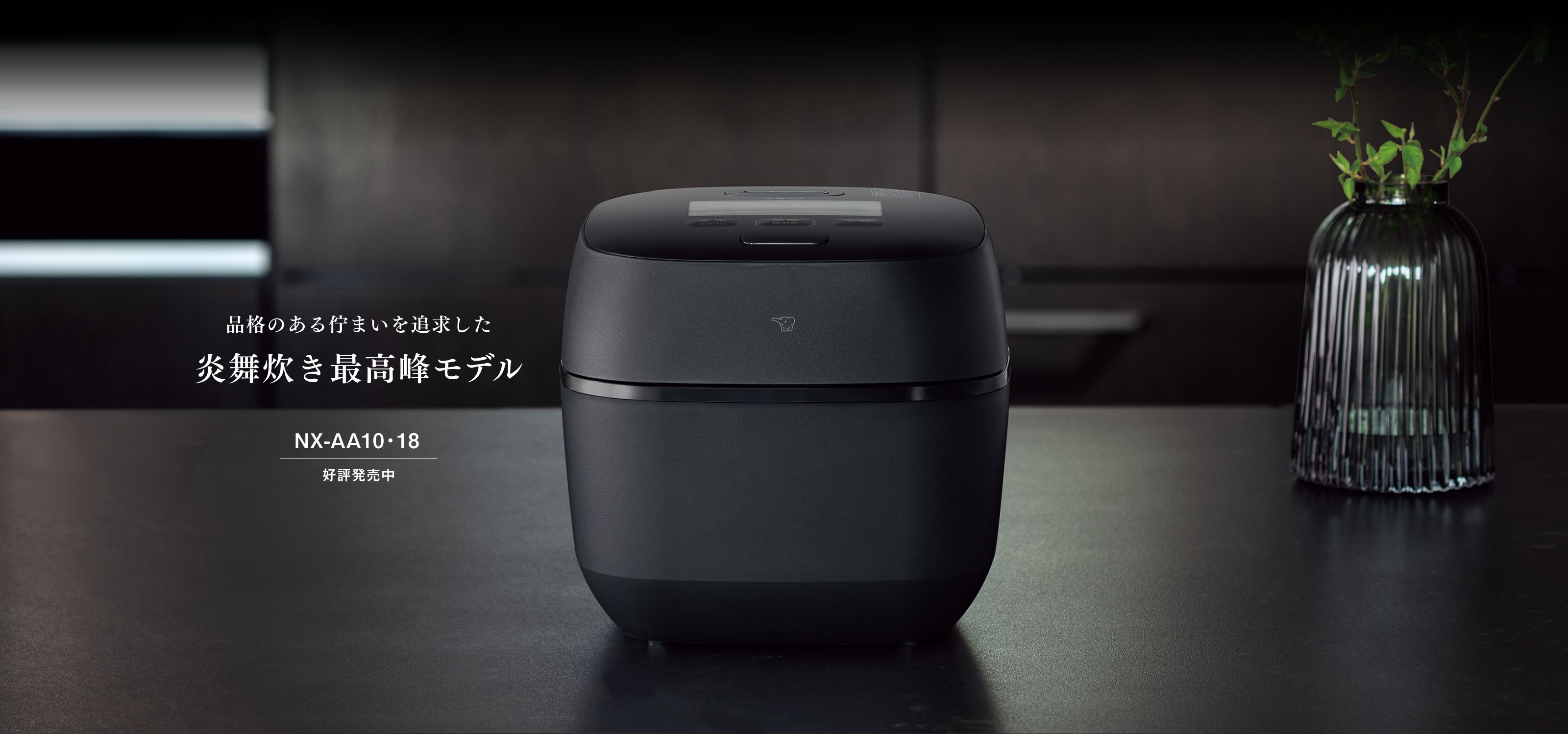 楽天市場】[2025/6月発売] 象印 圧力IH炊飯ジャー 炎舞炊き NX-AA10