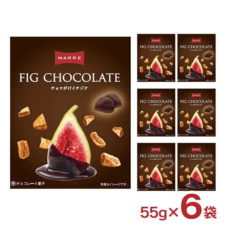 楽天市場】ホワイトデー ギフト 2026 マルレ チョコがけ イチジク 55g