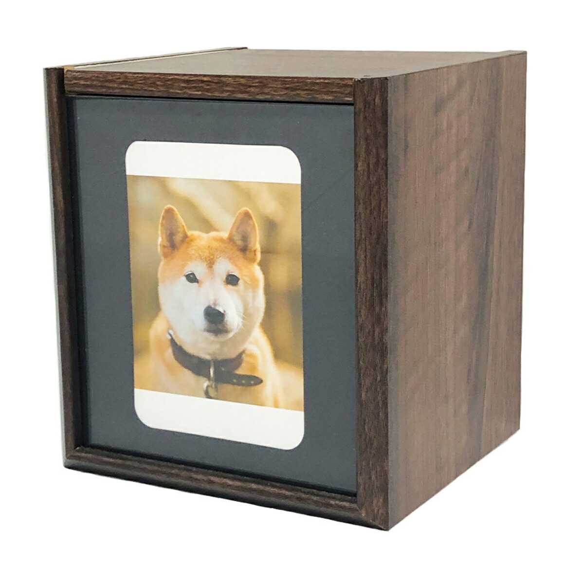 楽天市場】ルーンファクトリー4スペシャル メモリアルボックスの通販