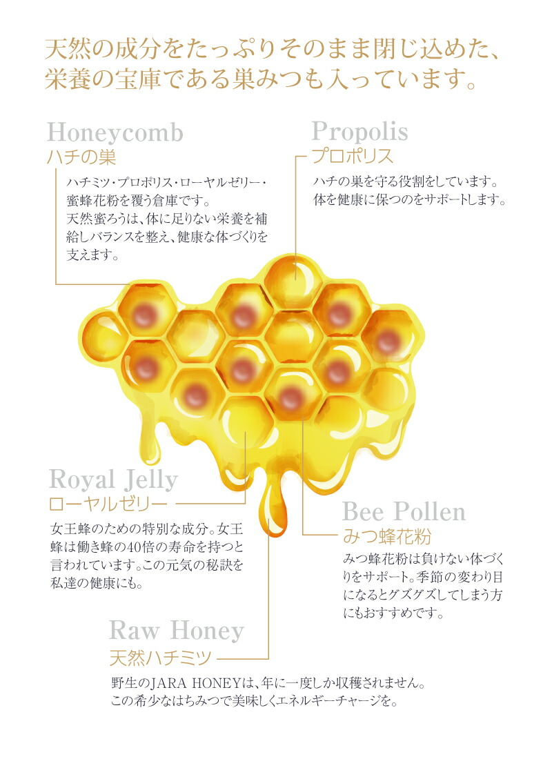 楽天市場】WILD JARA HONEY 300g ｜箱入り｜オーガニック ジャラハニー