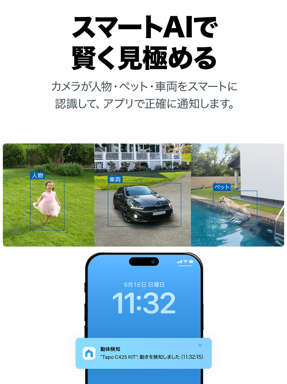 楽天市場】Tapo 屋外/室内 防犯カメラ ソーラーパネル付き 電池式