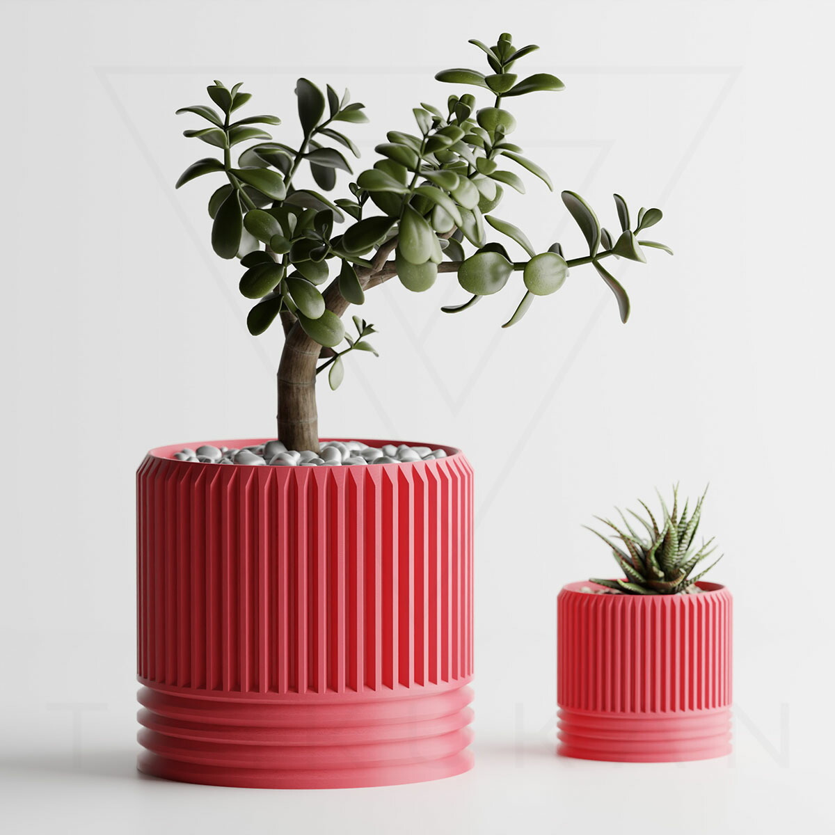 サボテン 植木鉢」の人気商品一覧 | 安い商品を通販サイトから探す