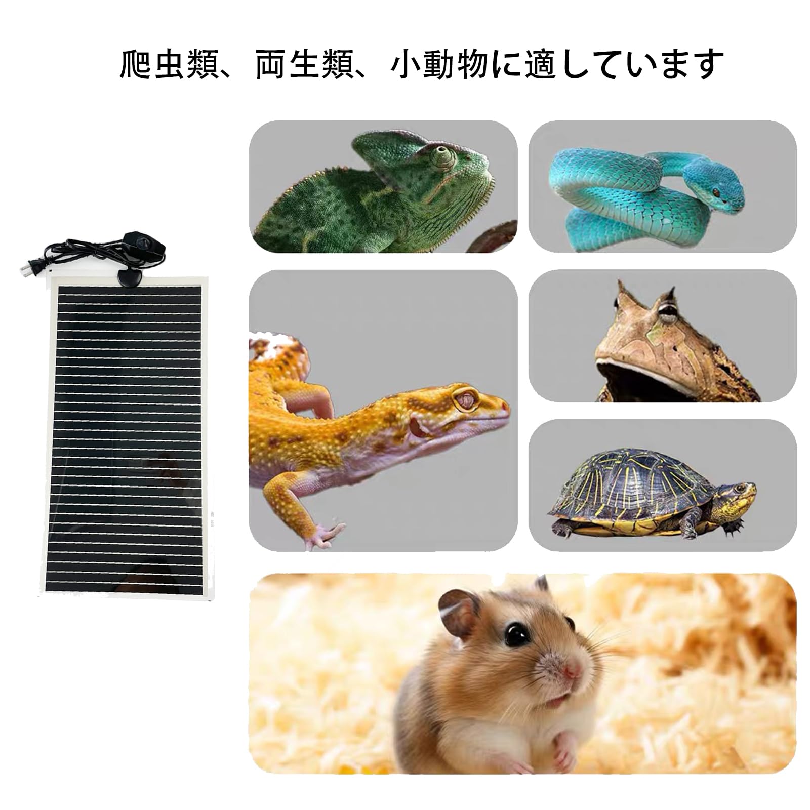 楽天市場】【即納】パネルヒーター 爬虫類 保温 暖突 ヒーター 加熱