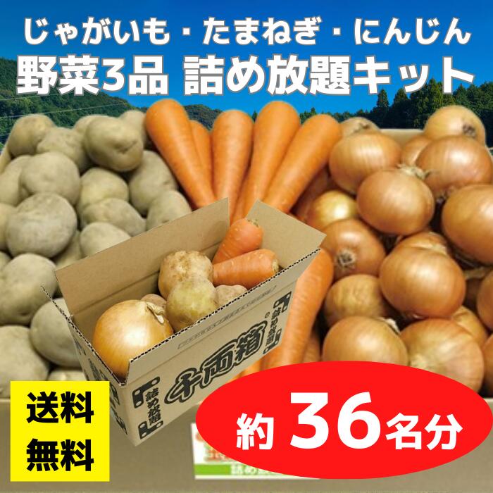 楽天市場】【送料無料】野菜3品 詰め放題キット 1セット約36名分