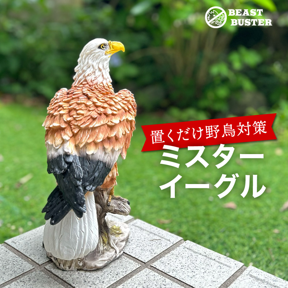 楽天市場】鳥獣駆除 鳥よけ 鷹 ミスターイーグル 鳥よけグッズ 鳥除け