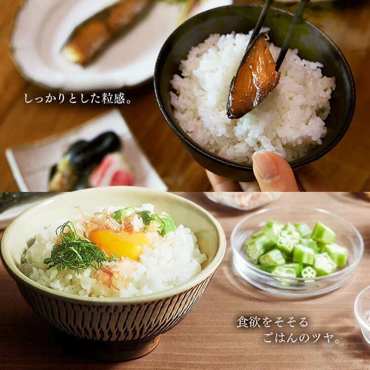 楽天市場】炊飯器 1升 10合 RC-IK10-B 炊飯器 アイリスオーヤマ IH