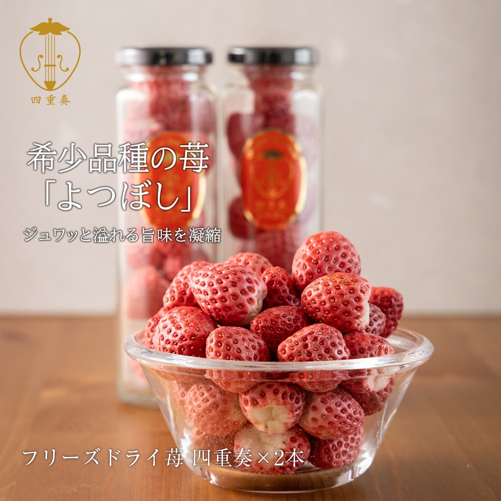 楽天市場】よつぼしいちご100％ フリーズドライ苺 四重奏 2本セット 丸
