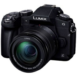 楽天市場】Panasonic パナソニック部品コード：DDMC-G8M-K LUMIX G8