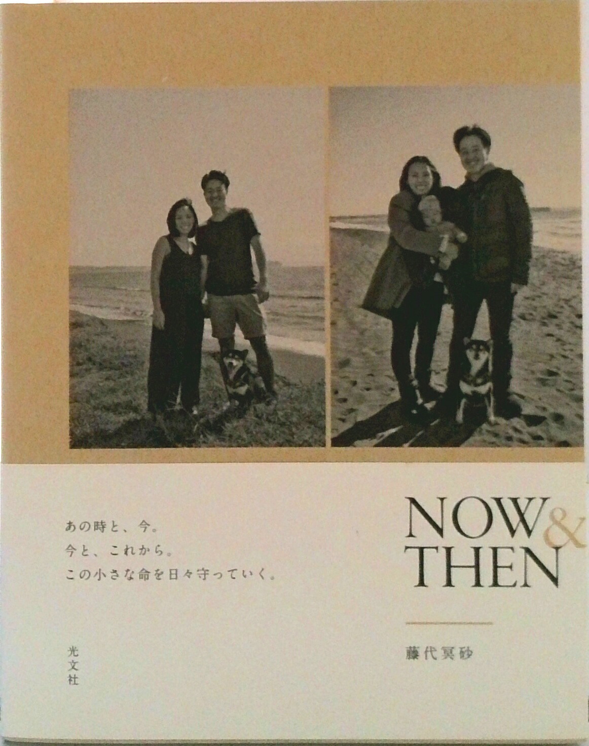 楽天市場】藤代冥砂の通販