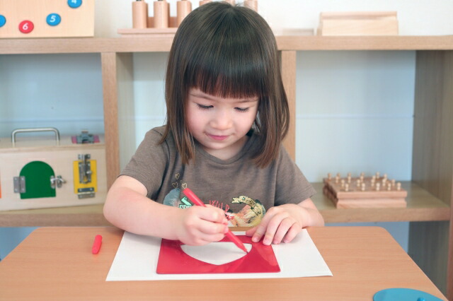 楽天市場】モンテッソーリ メタルインセッツ ♪スムーズに楽しく図形を