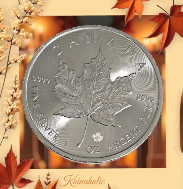 メイプルリーフ 銀貨」の人気商品一覧 | 安い商品を通販サイトから探す