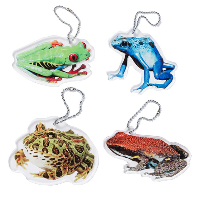 楽天市場】目立つ キーホルダー True Frogs Key holder トゥルー