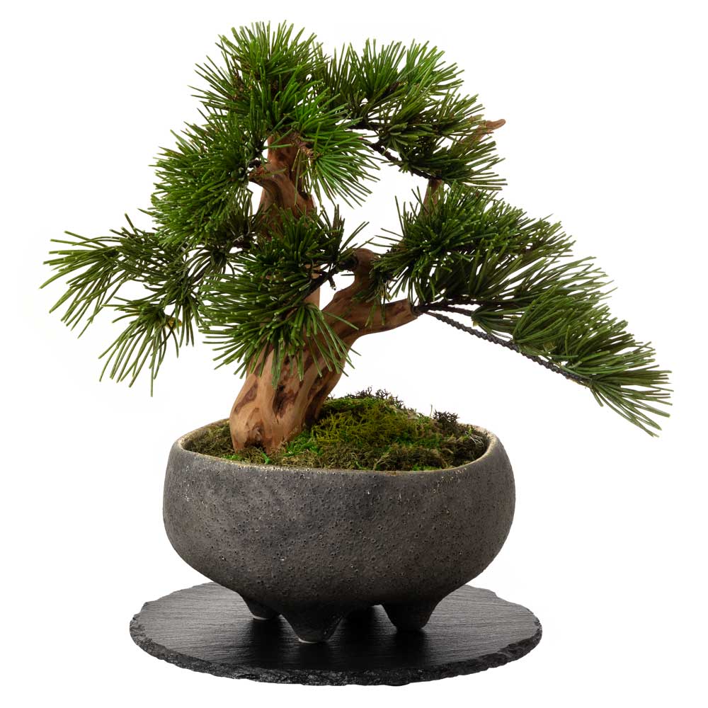 楽天市場】フェイクアート盆栽 然-ZEN- 寸-SUN-プレミアム 本物を知る