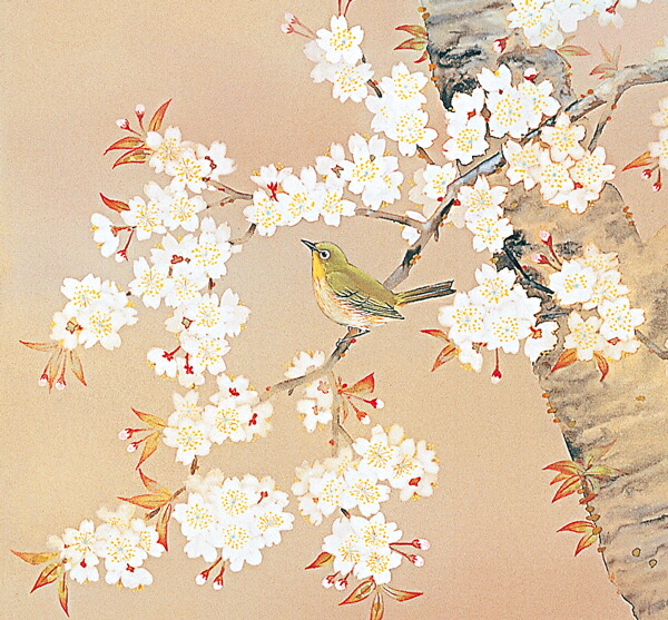 楽天市場】掛け軸 掛軸（かけじく） 桜に小禽（河村 東陽） 全国送料