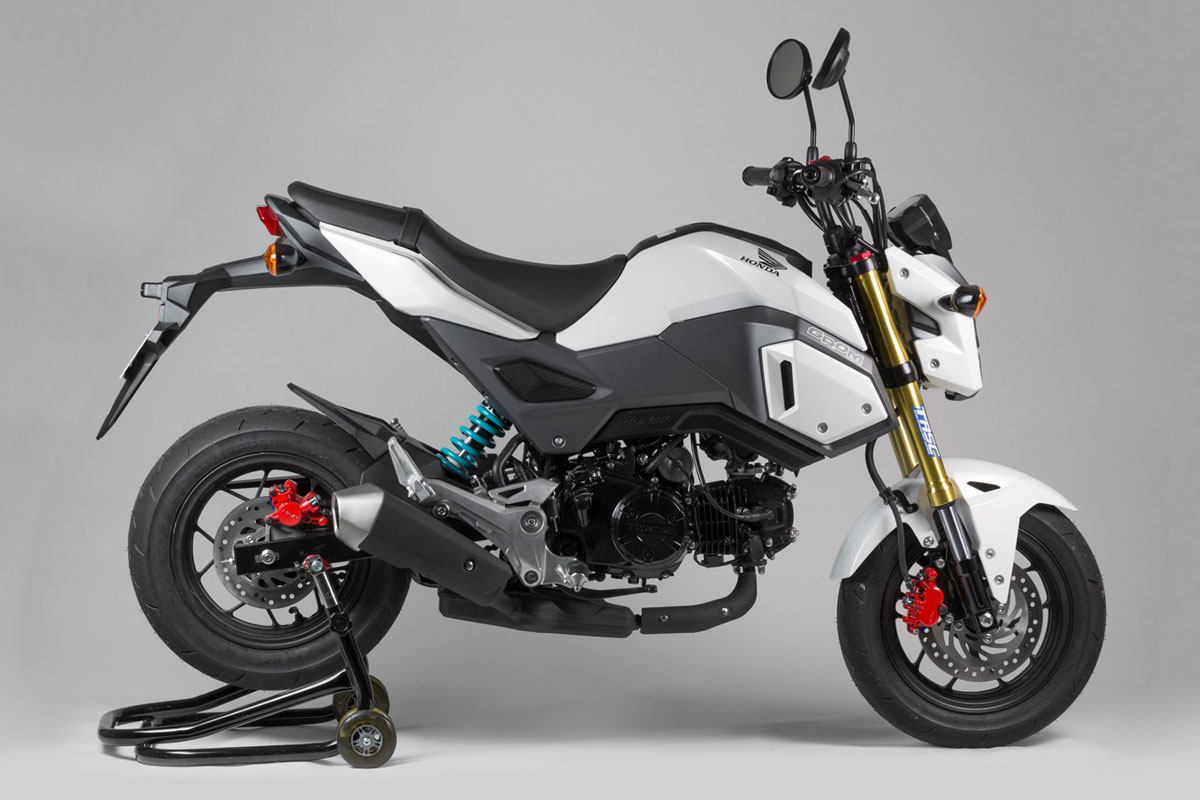 楽天市場】NITRON ナイトロン リアサスペンションミニショック MINI R1