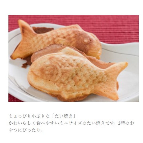 楽天市場】クーポン配布中☆(OIGEN)及源鋳造 タミさんのたい焼き器 9cm