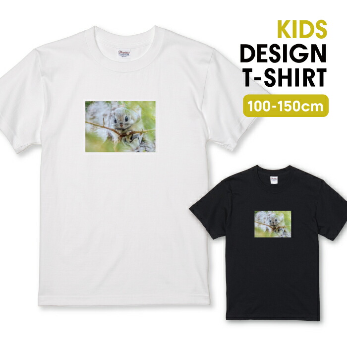 楽天市場】Tシャツ キッズ こどもサイズ モモンガ ももんが