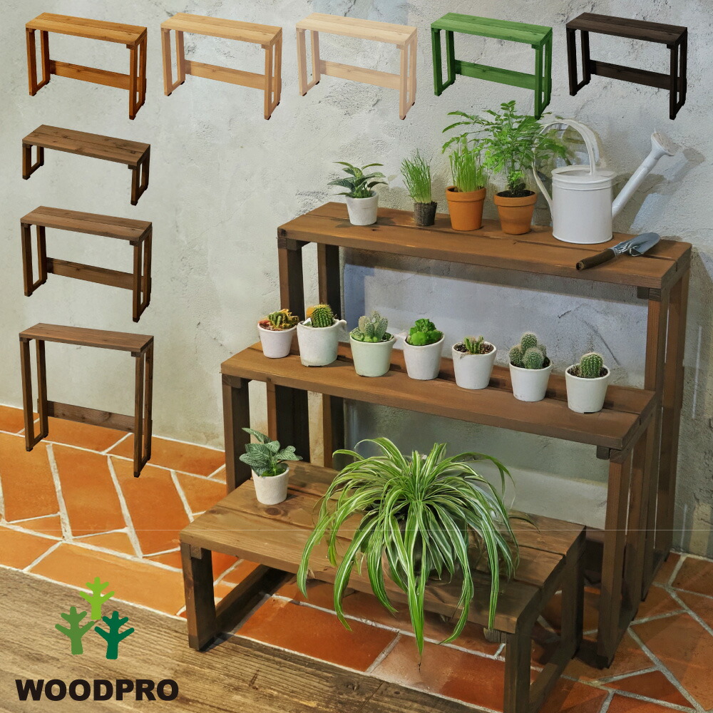 楽天市場】多肉植物 棚（原産国/製造国日本）の通販