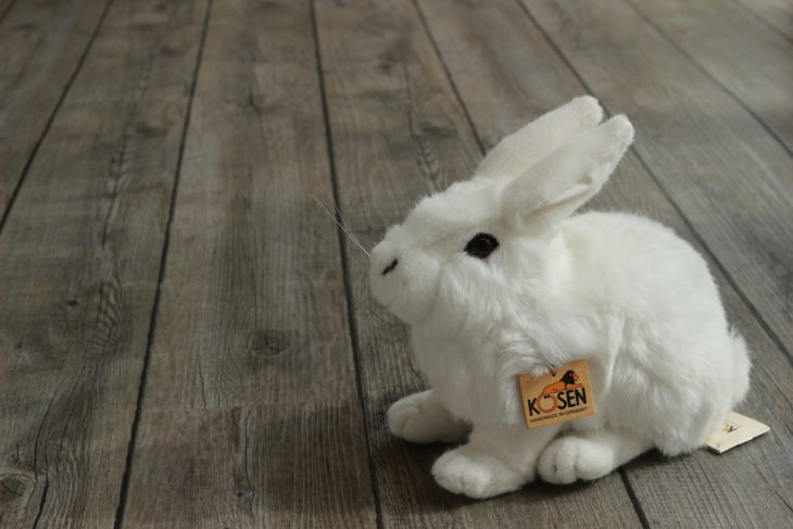 楽天市場】しろいうさぎ ぬいぐるみ 上質 ケーセン 小さい 可愛い