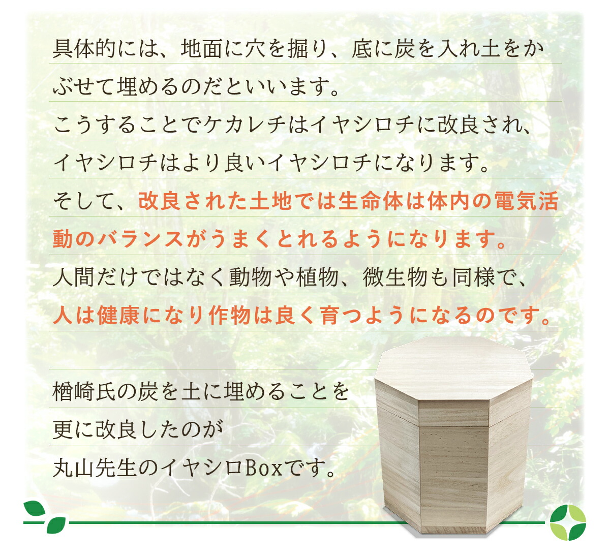 楽天市場】カタカムナ イヤシロBOX/八角型桐箱 : クスリエショップ ユニカ