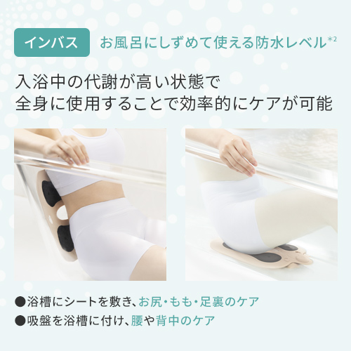 楽天市場】【50%オフ☆3/4 20:00から3/11 1:59まで】EMS シート マット