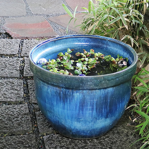 楽天市場】【38時間限定20%OFFクーポン配布中】スイレン鉢 大型 陶器