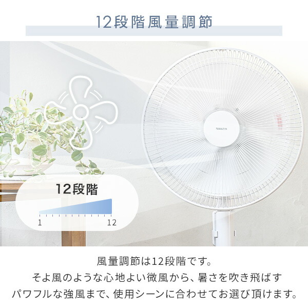 楽天市場】扇風機 dcモーター 左右首振り ハイリビング扇風機 風量12