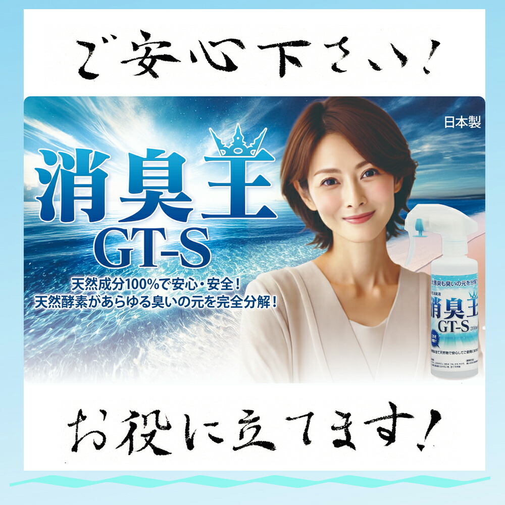 楽天市場】消臭王GT-S 20L 天然成分100% 介護臭 ペット臭 ホテル臭